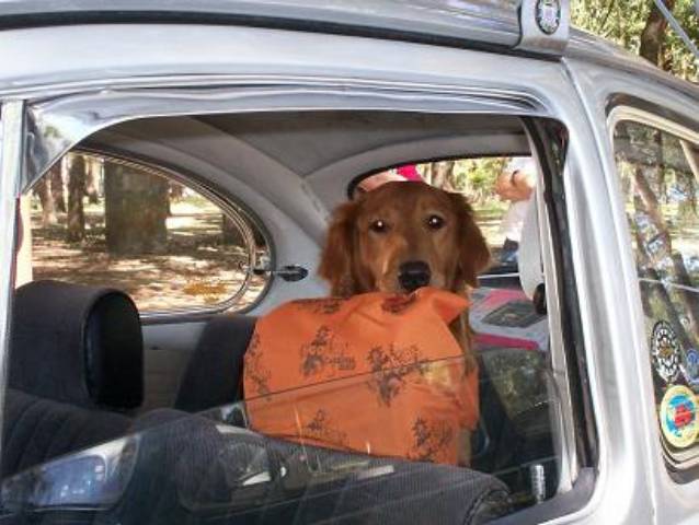 01 Enero - Dia en la Sabana