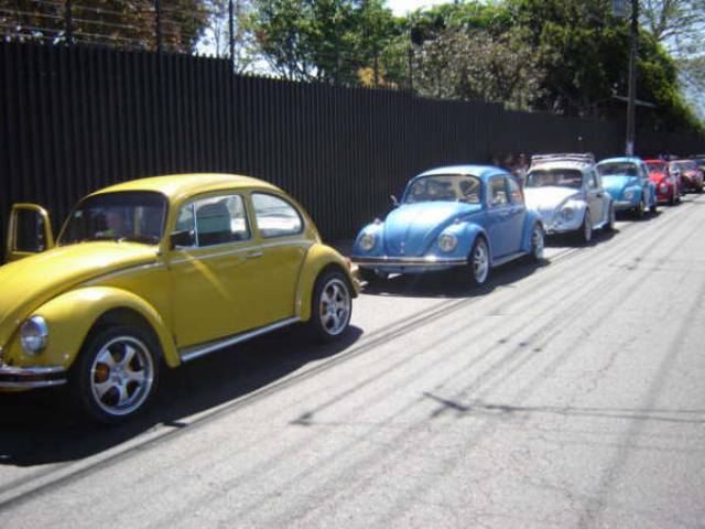 03 Febrero - Viaje a Carrizal