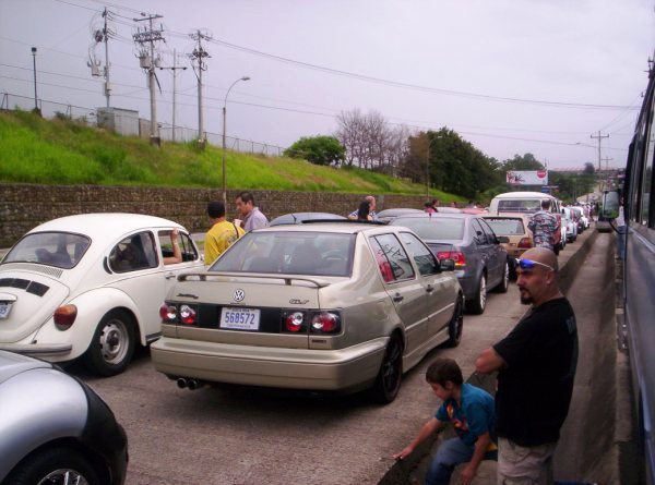 06 Junio - Dia del escarabajo